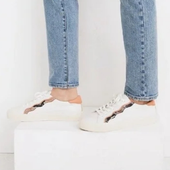 NIB! Madewell snake skin sidewalk sneaker - Picture 3 of 6